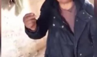 李苏迎秦腔演员简介 李苏迎秦腔演员简介