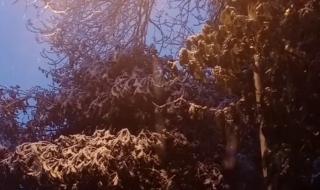 2022年初雪 2022年初雪