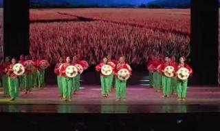 在希望的田野上舞蹈