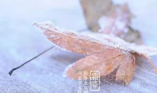 天气说变冷就变冷 天气说变冷就变冷